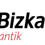 lantikw312cp